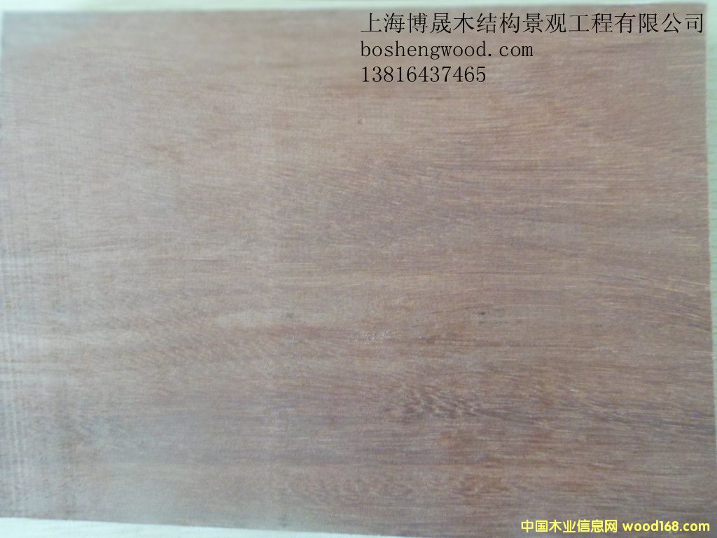 梢木的詳細(xì)介紹