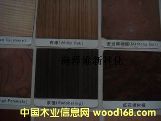 I(y)ṩNȻľƤƯ¼g(sh)