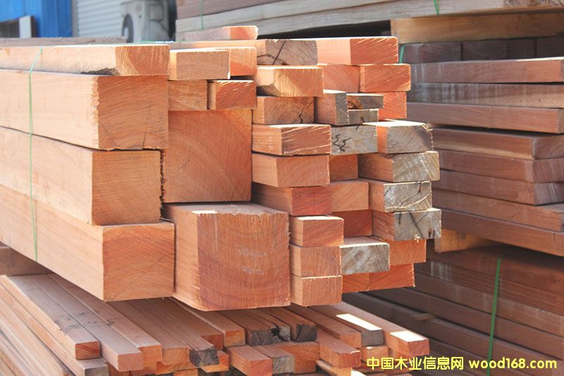 柳桉木的詳細介紹