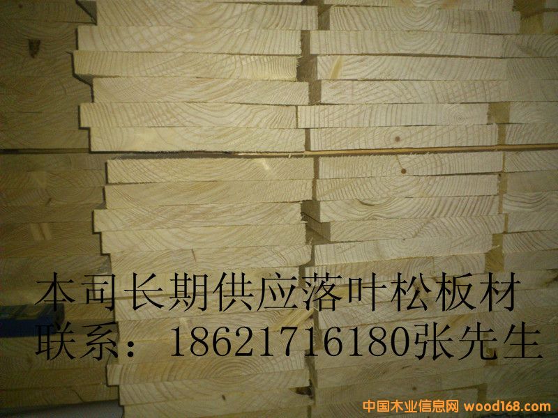 落葉松的詳細介紹