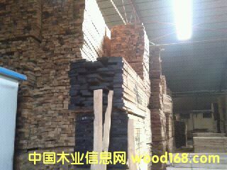 樺木的詳細(xì)介紹