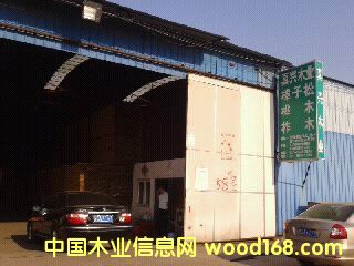 樺木的詳細(xì)介紹