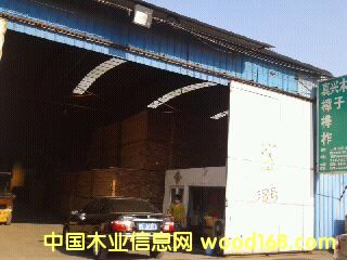 樺木的詳細(xì)介紹