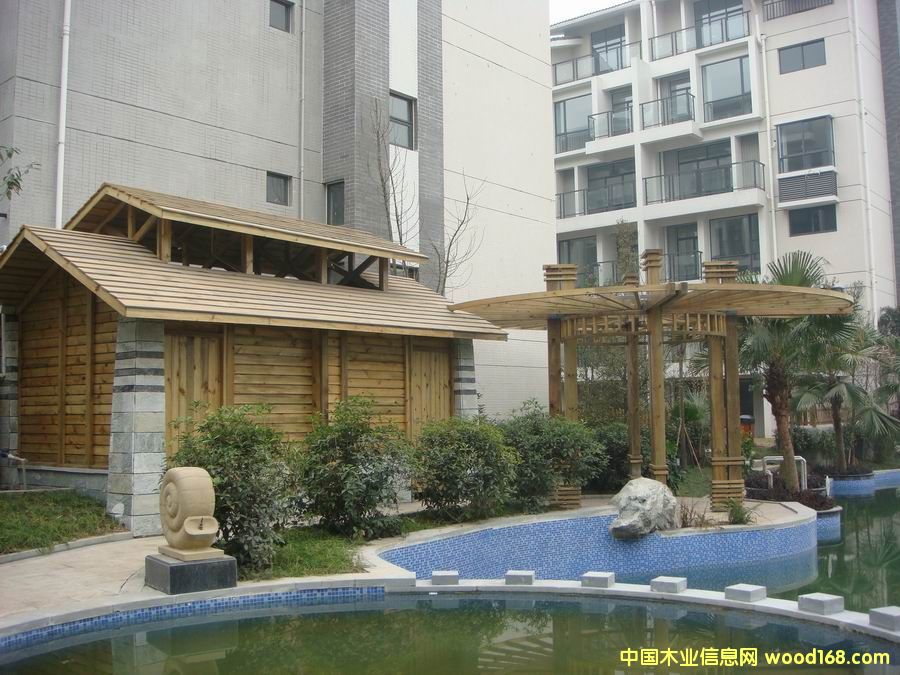 梢木的詳細介紹