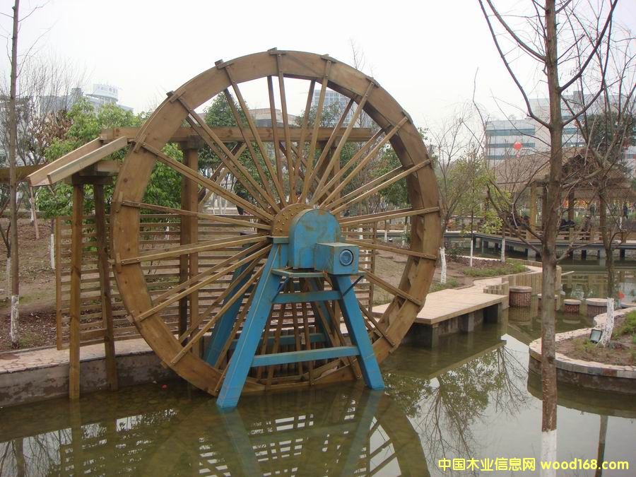 山樟木的詳細介紹