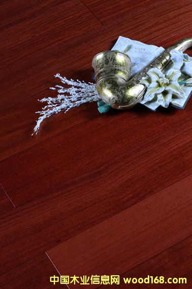 ·ƹ(yng)(yu)|(zh)֬ľľذ t̴ľ(f)ϵذԔB