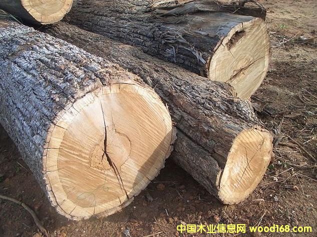 Mmݗ/ڂ/ˮɼ/~ԭľMڈP(gun)