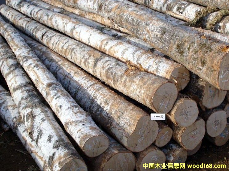 鐵杉原木的詳細(xì)介紹
