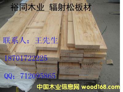 輻射松的詳細(xì)介紹