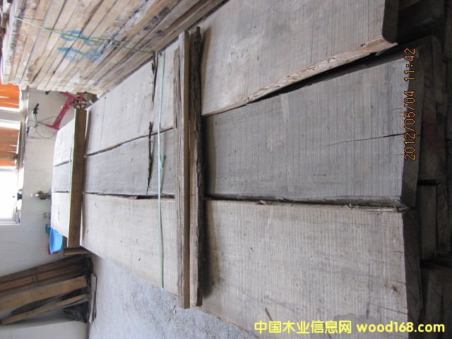 榆木的詳細(xì)介紹