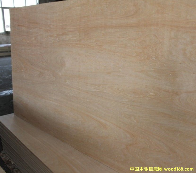 椴木的詳細(xì)介紹