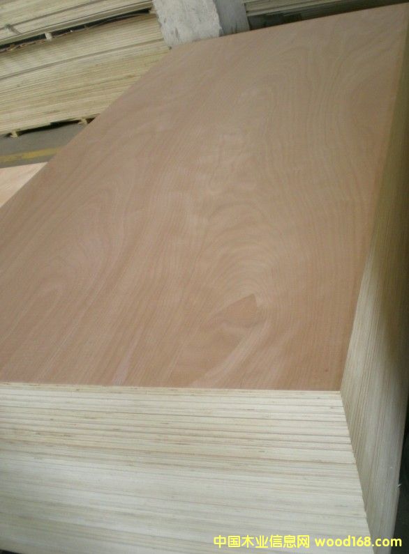 奧古曼的詳細(xì)介紹