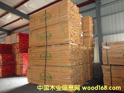 赤楊的詳細(xì)介紹