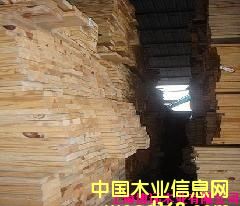 南方松的詳細(xì)介紹