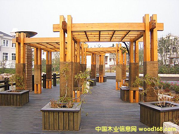 L(zhng)ɳľ@ȵԔ(x)B