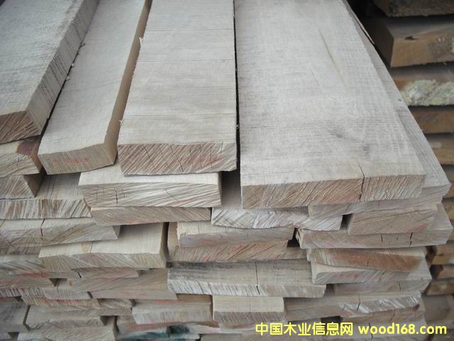 樺木的詳細介紹