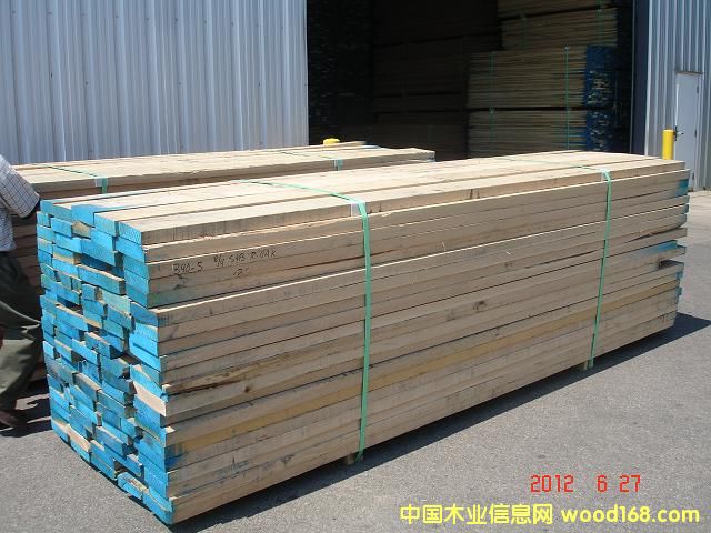 紅橡木的詳細介紹