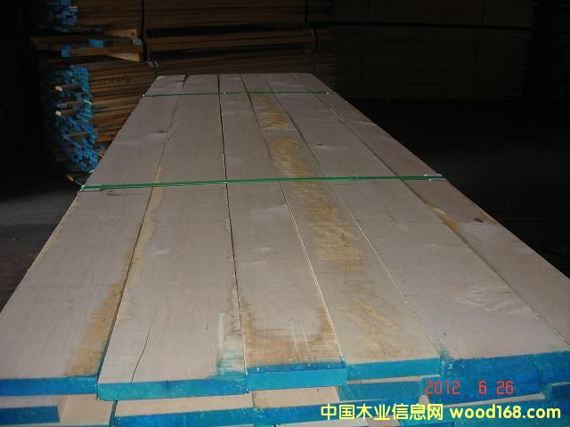 硬楓的詳細介紹