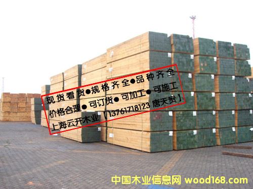 鐵杉木的詳細(xì)介紹