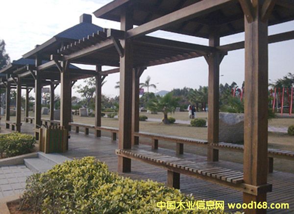 柳桉木的詳細(xì)介紹