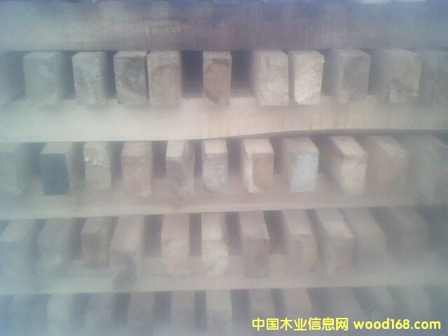 杉木方的詳細(xì)介紹