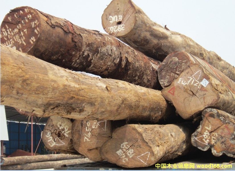 巴勞的詳細(xì)介紹