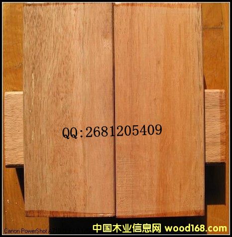 [] Ϻ(yu)|ľľNľ|ľÏS