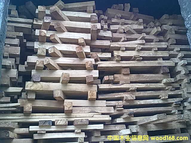 橡膠木的詳細(xì)介紹