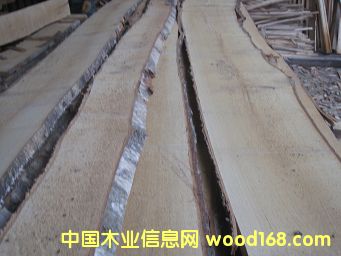 [] ӆ؛(yng)ɘľë߅