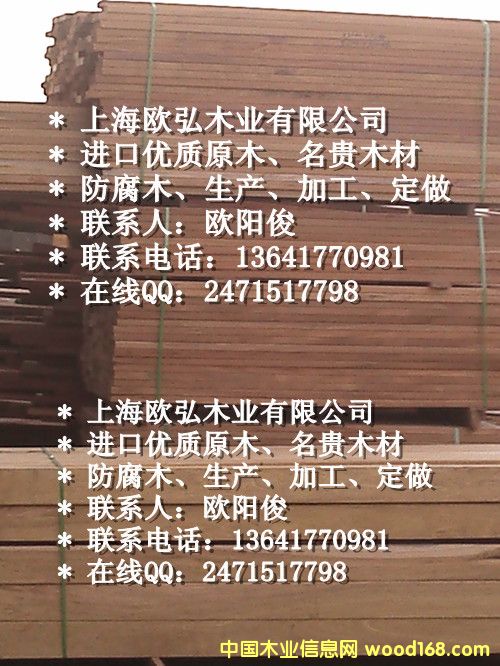 山樟木的詳細(xì)介紹