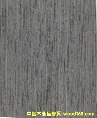 ƼľƤŵ̴ľ ҾNľƤ ¿ľƤDƬ