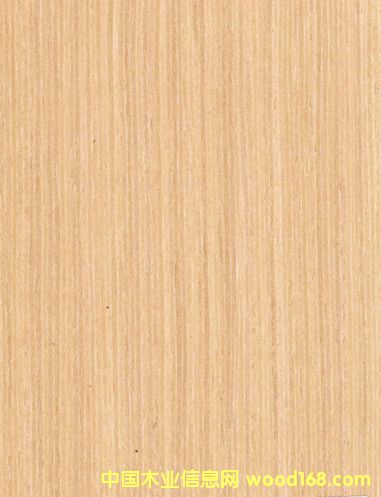 ˮϴľƤ (x)yˮϴľ ¿ƼľƤ ľƤS