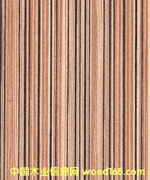 ߙnRľƤ ƼľƤR ֱyRľƤS (sh)ľľƤ