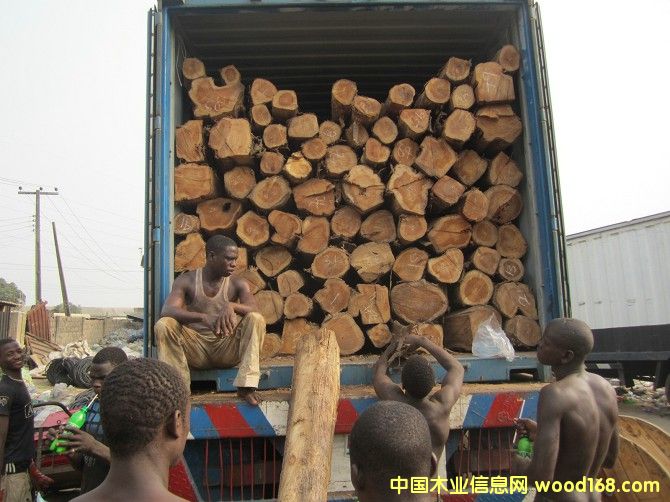 柚木的詳細(xì)介紹