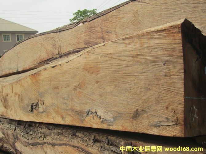 花梨木的詳細(xì)介紹