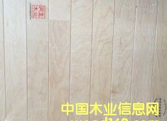 ľwľذwww.tipurunsheng.comԔ(x)B