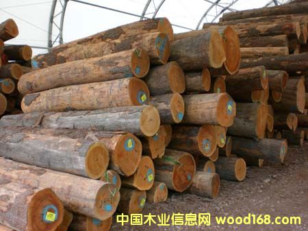 һM(jn)ڈ(bo)P(gun)|һM(jn)|һM(jn)M(fi)