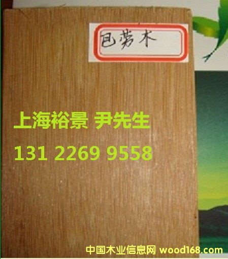 巴勞木的詳細介紹