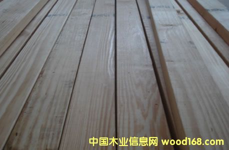 芬蘭木的詳細介紹