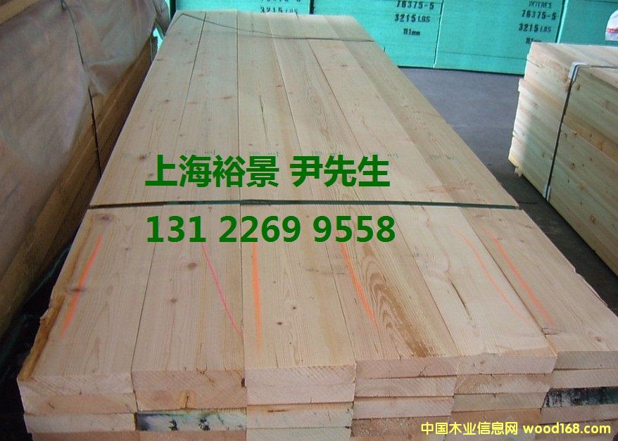 花旗松的詳細介紹