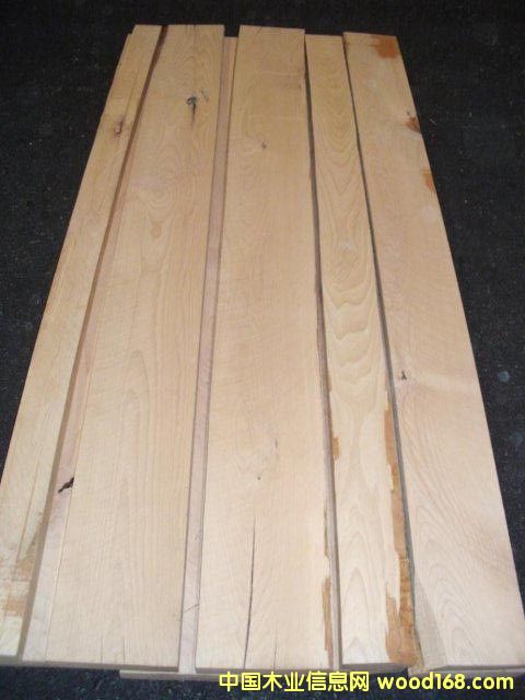 櫸木的詳細(xì)介紹