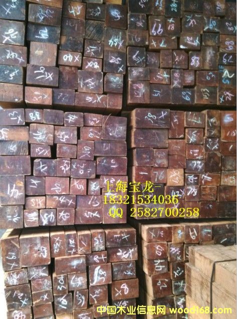 緬甸柚木的詳細(xì)介紹