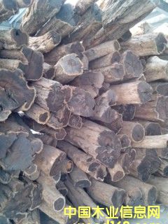 烏木的詳細(xì)介紹