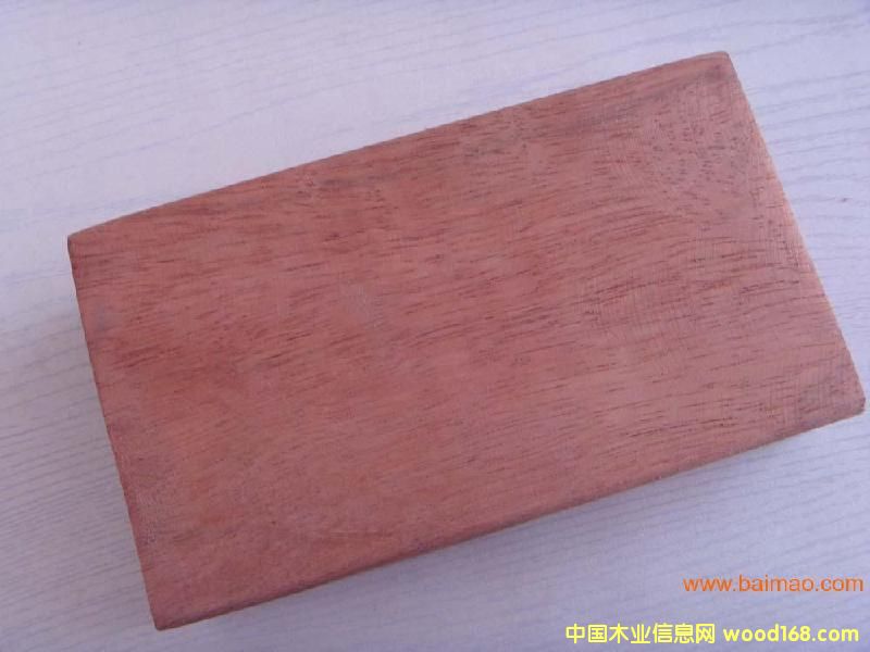 山樟木的詳細(xì)介紹