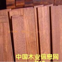 銀口木的詳細(xì)介紹