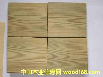 樟子松的詳細(xì)介紹