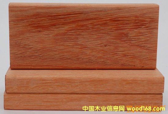 康巴斯的詳細(xì)介紹