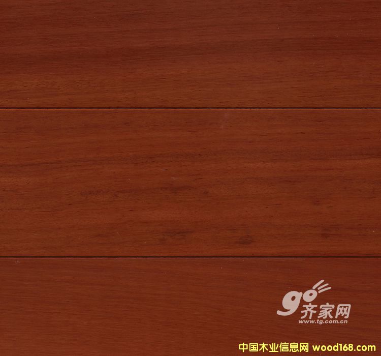 唐木的詳細(xì)介紹