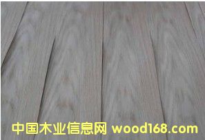 黑胡桃的詳細(xì)介紹