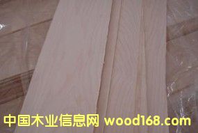 加楓的詳細(xì)介紹